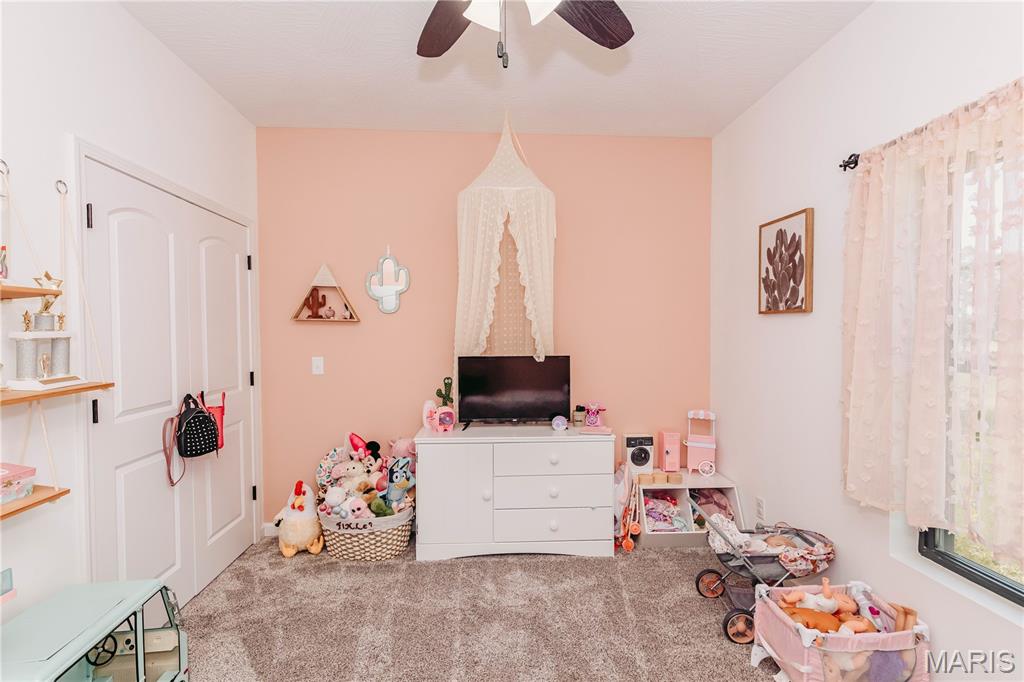14946 Colorado Road Dixon, MO 65459 - Photo 41 of 95