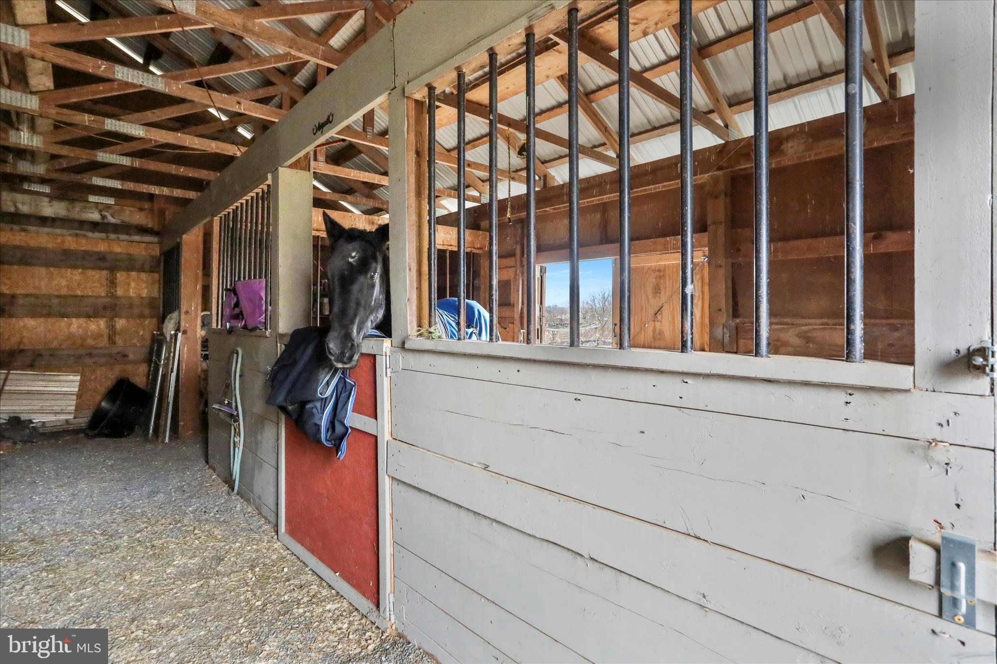 9763 Blue Spring Road Mercersburg, PA 17236 - Photo 62 of 85 Stable