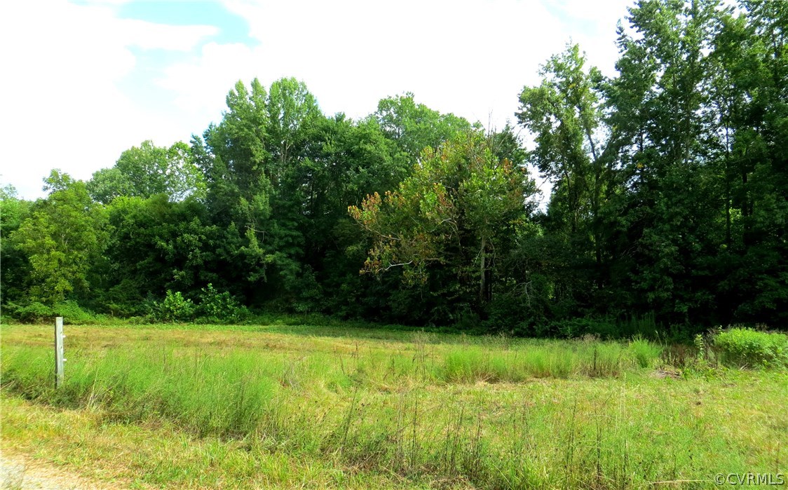 16233 Pleasant Mill Road Montpelier, VA 23192 - Photo 1 of 18 Gallery Image 1