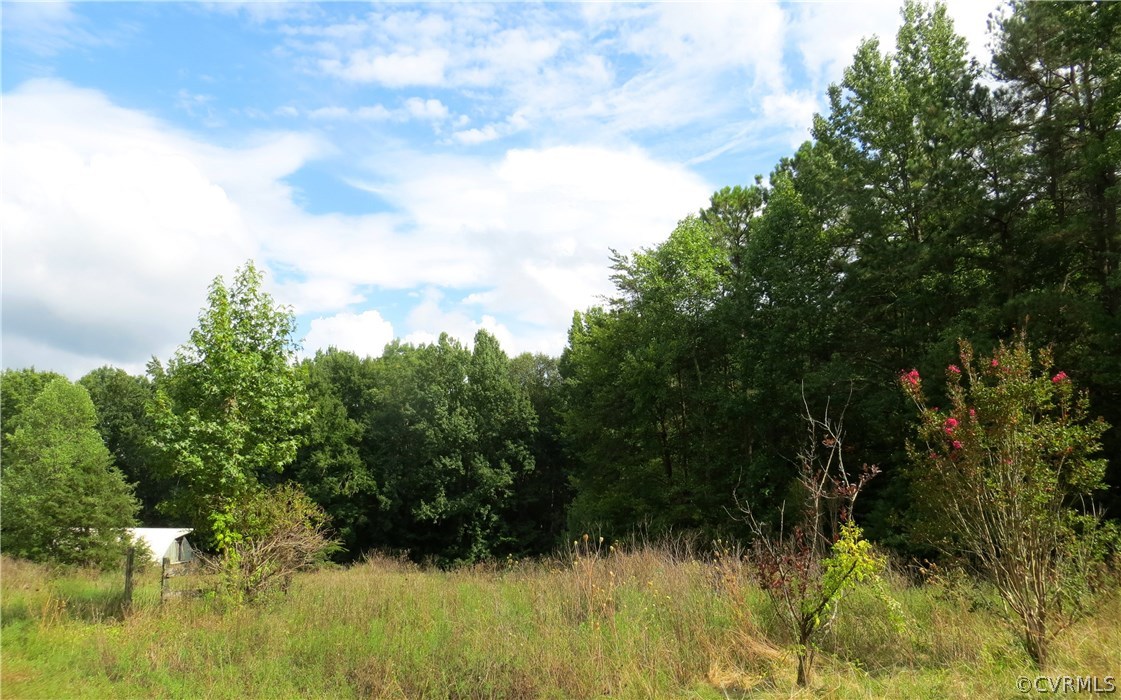 16233 Pleasant Mill Road Montpelier, VA 23192 - Photo 15 of 18 Gallery Image 15