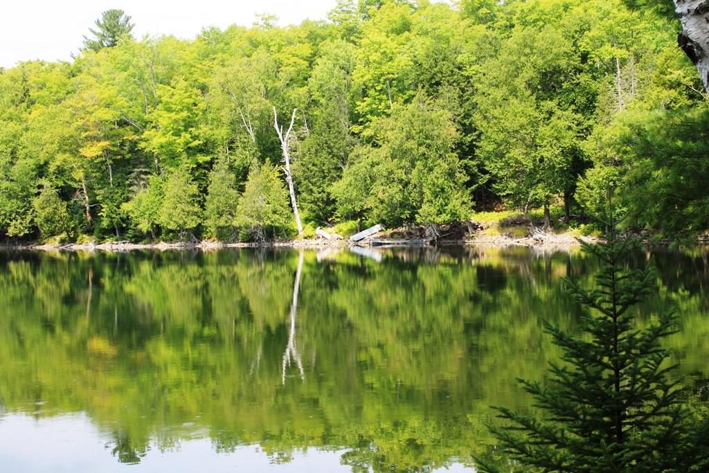 0 Bennett Pond Road Parkman, ME 04443 - Photo 5 of 12 Photo