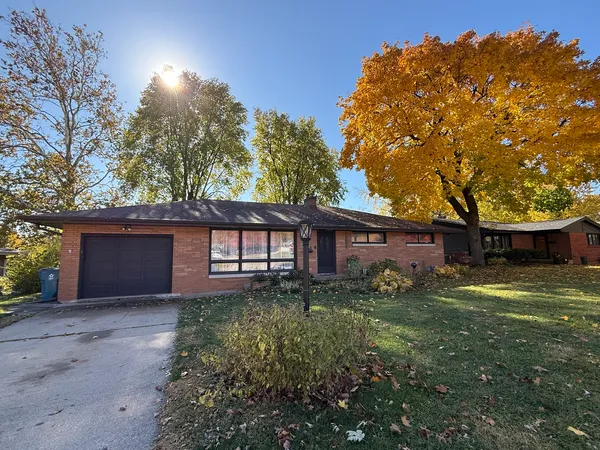 a backyard of a house with plants and large tree