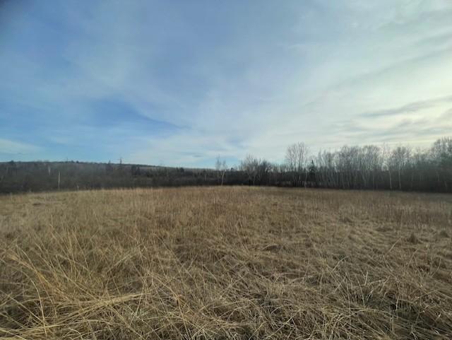 Tbd Tbd Zuni Breezy Point, MN 56472 - Photo 10 of 13