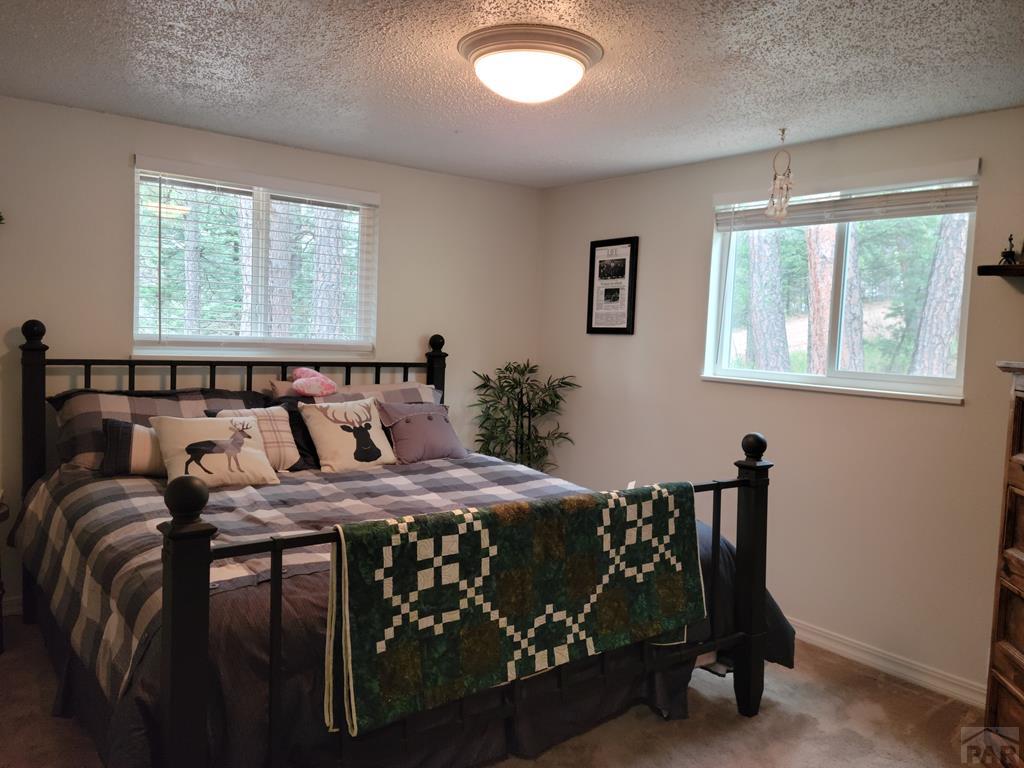 10689 Charles Lane Rye, CO 81069 - Photo 10 of 30 Gallery Image 10