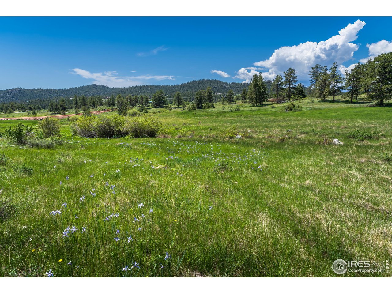 0 Red Feather Lakes Road, Unit 13 Livermore, CO 80536 - Photo 1 of 37 Welcome to Shoshana Ranch!