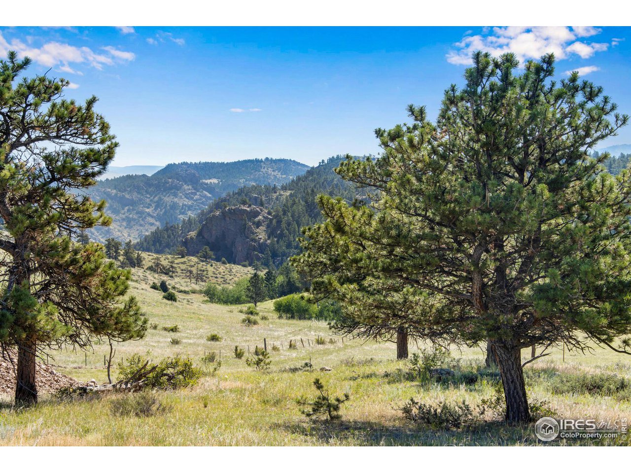 0 Red Feather Lakes Road, Unit 13 Livermore, CO 80536 - Photo 21 of 37 Gallery Image 21