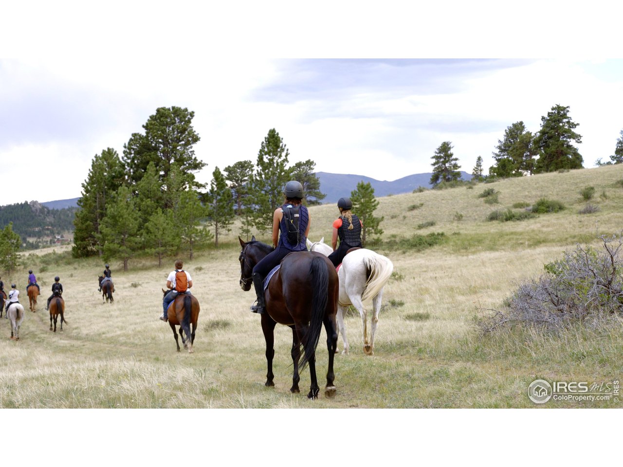 0 Red Feather Lakes Road, Unit 13 Livermore, CO 80536 - Photo 34 of 37 Horses and more welcome!