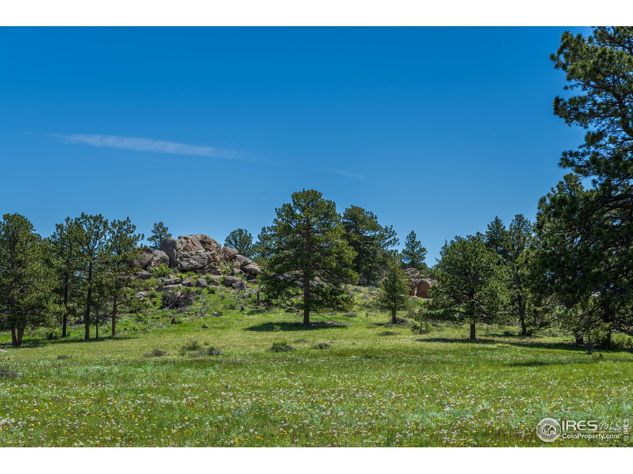 0 Red Feather Lakes Road, Unit 13 Livermore, CO 80536 - Photo 5 of 37 Gallery Image 5