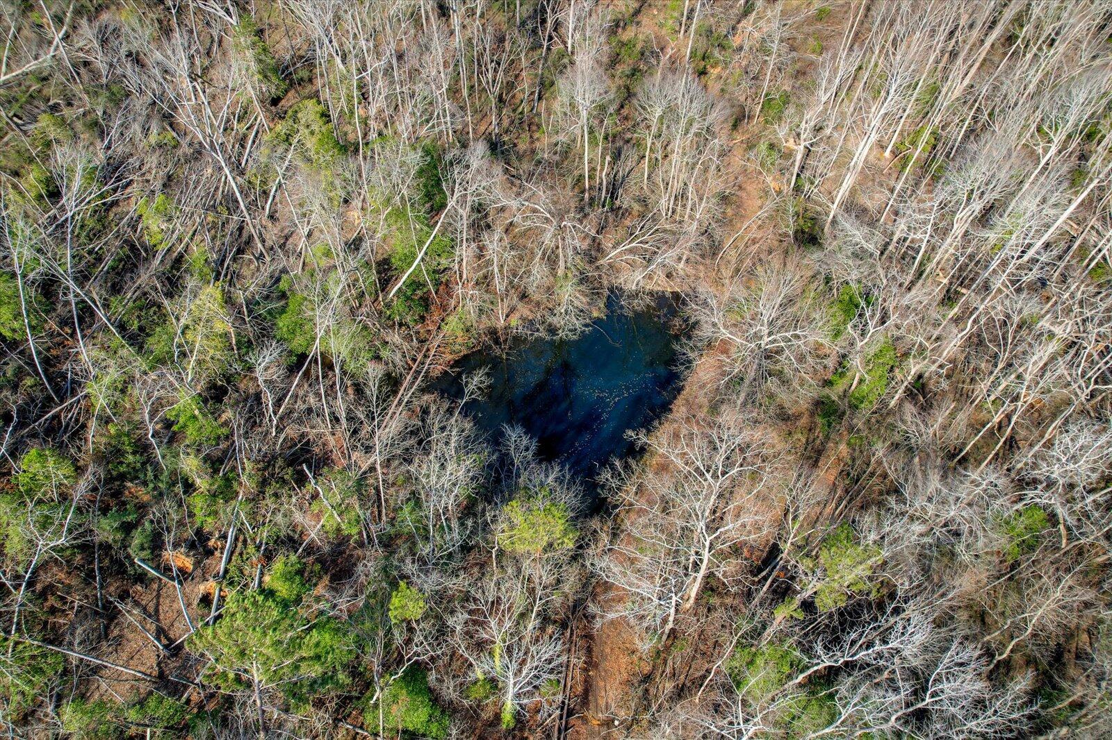 2053 Brown Road Hephzibah, GA 30815 - Photo 9 of 19 08-108