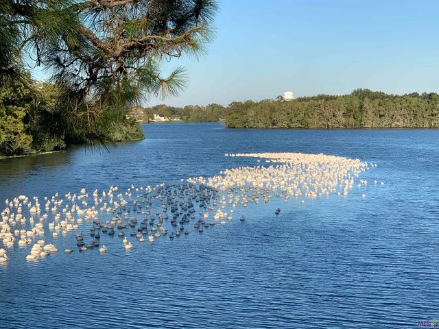 $319,900 | 1509 Stanford Avenue, Unit A3, Baton Rouge, LA 70808