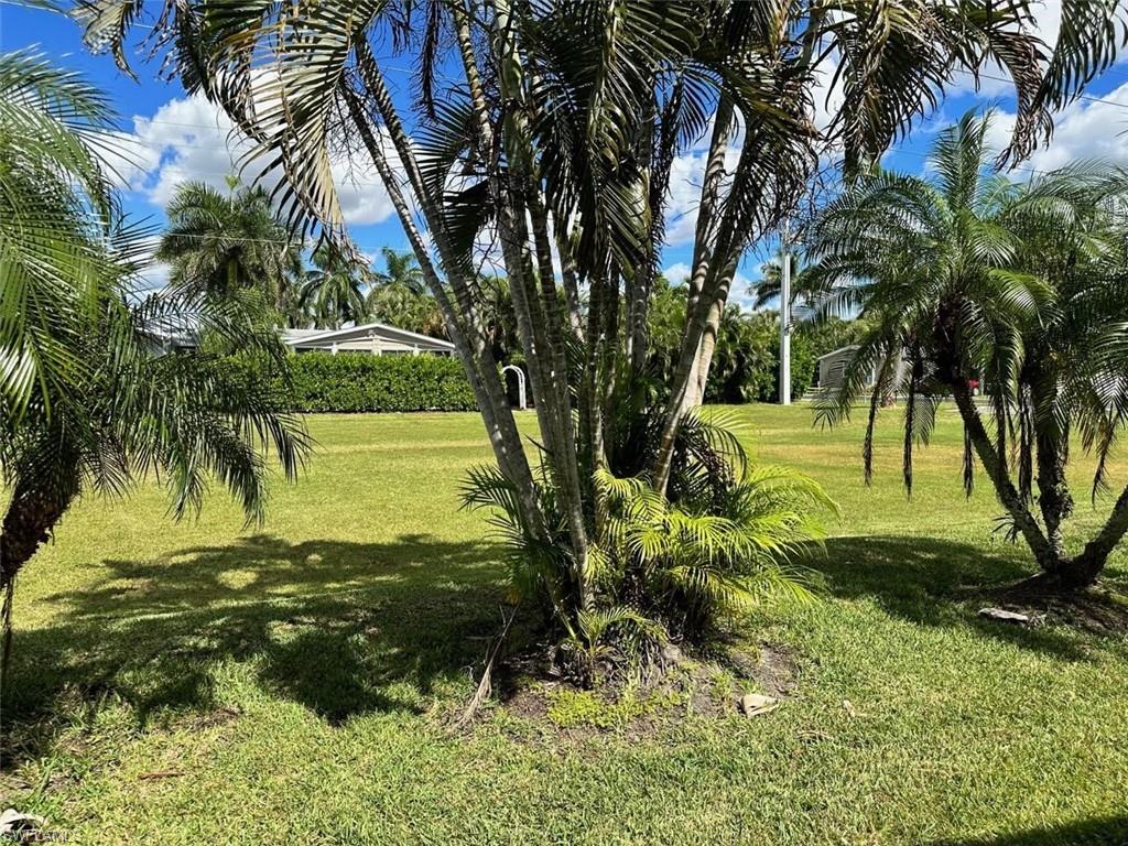 1453 Diamond Lake Circle Naples, FL 34114 - Photo 13 of 18 a view of a garden