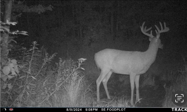 $429,900 | Peterson Road, Gleason, WI 54435