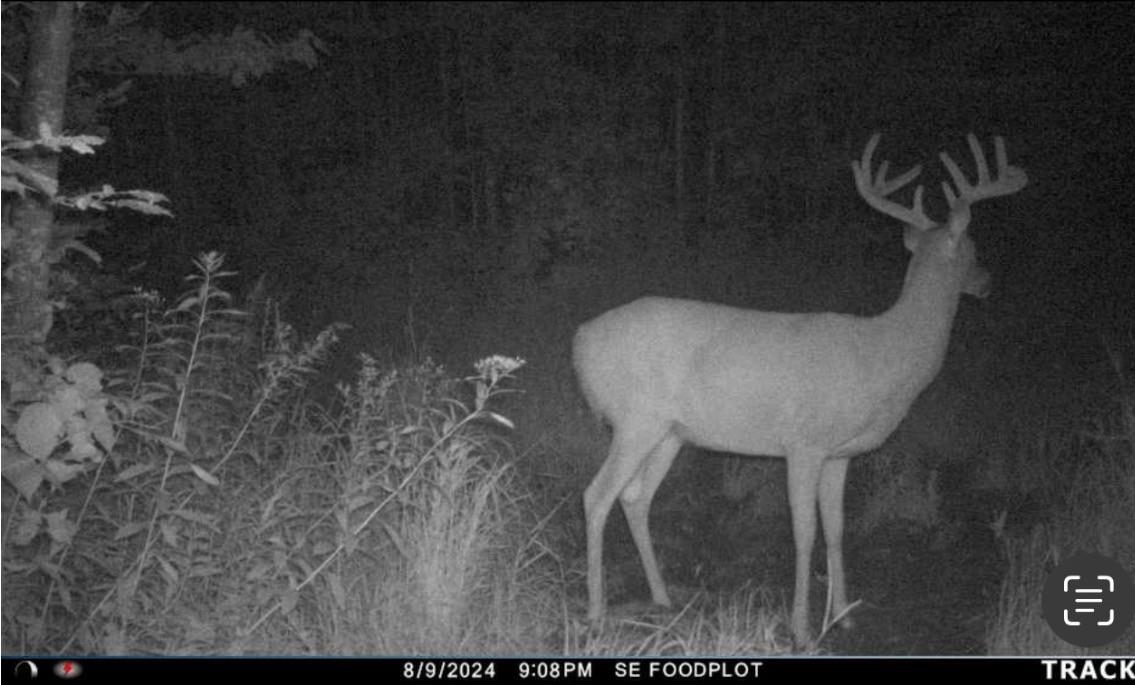 Peterson Road Gleason, WI 54435 - Photo 13 of 68
