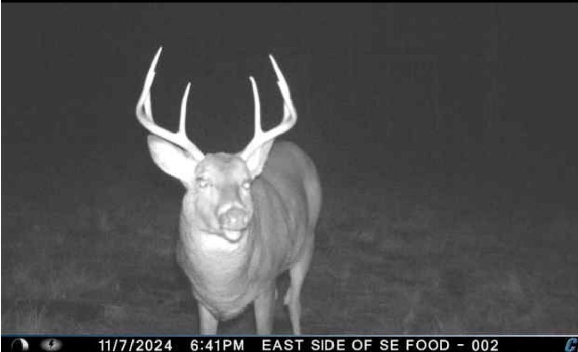 Peterson Road Gleason, WI 54435 - Photo 14 of 68