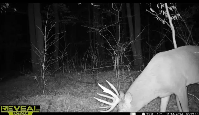 $429,900 | Peterson Road, Gleason, WI 54435