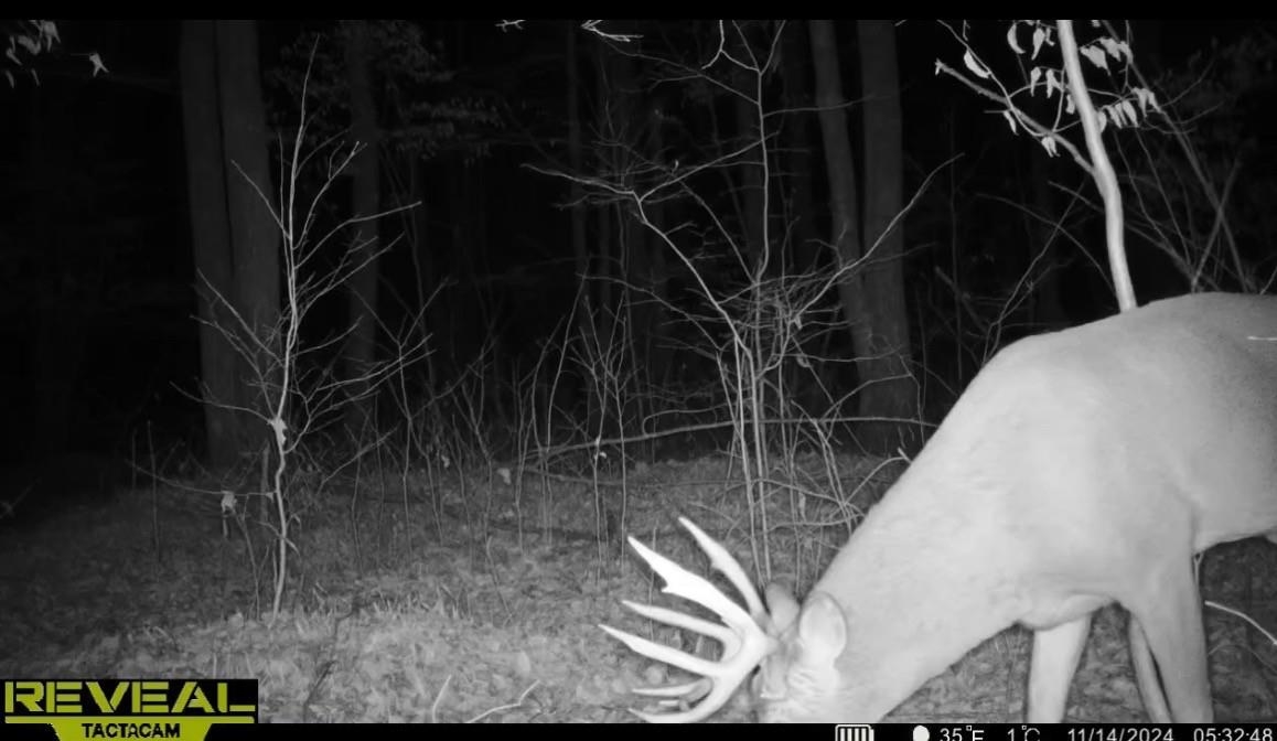 Peterson Road Gleason, WI 54435 - Photo 15 of 68