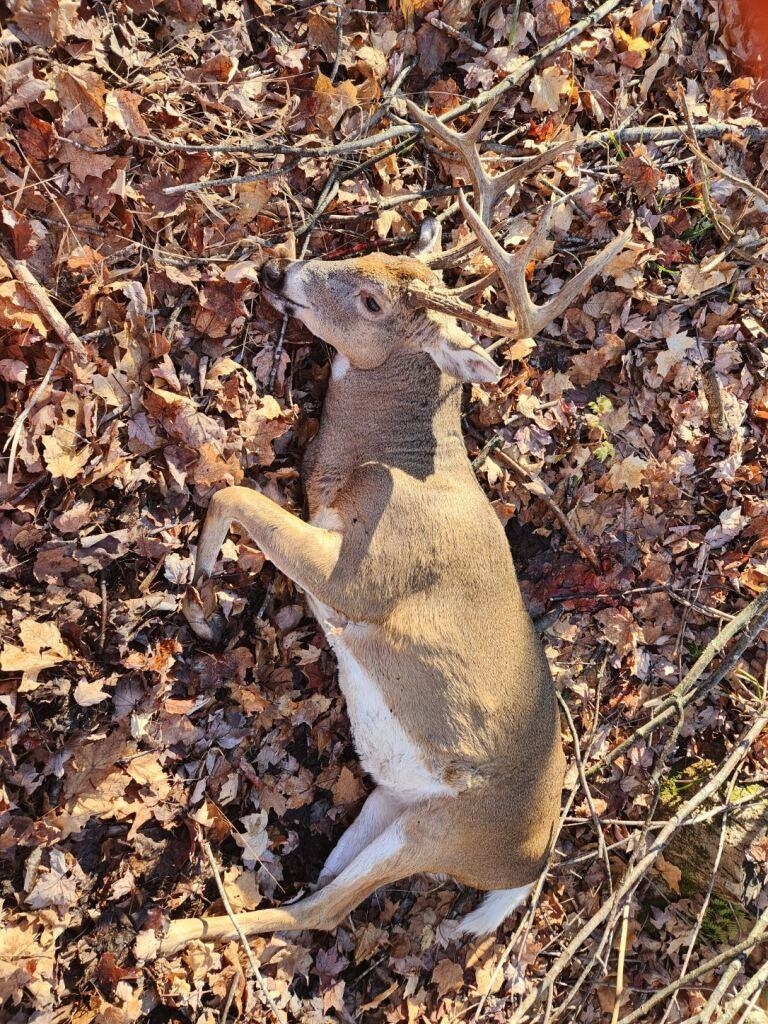 Peterson Road Gleason, WI 54435 - Photo 16 of 68