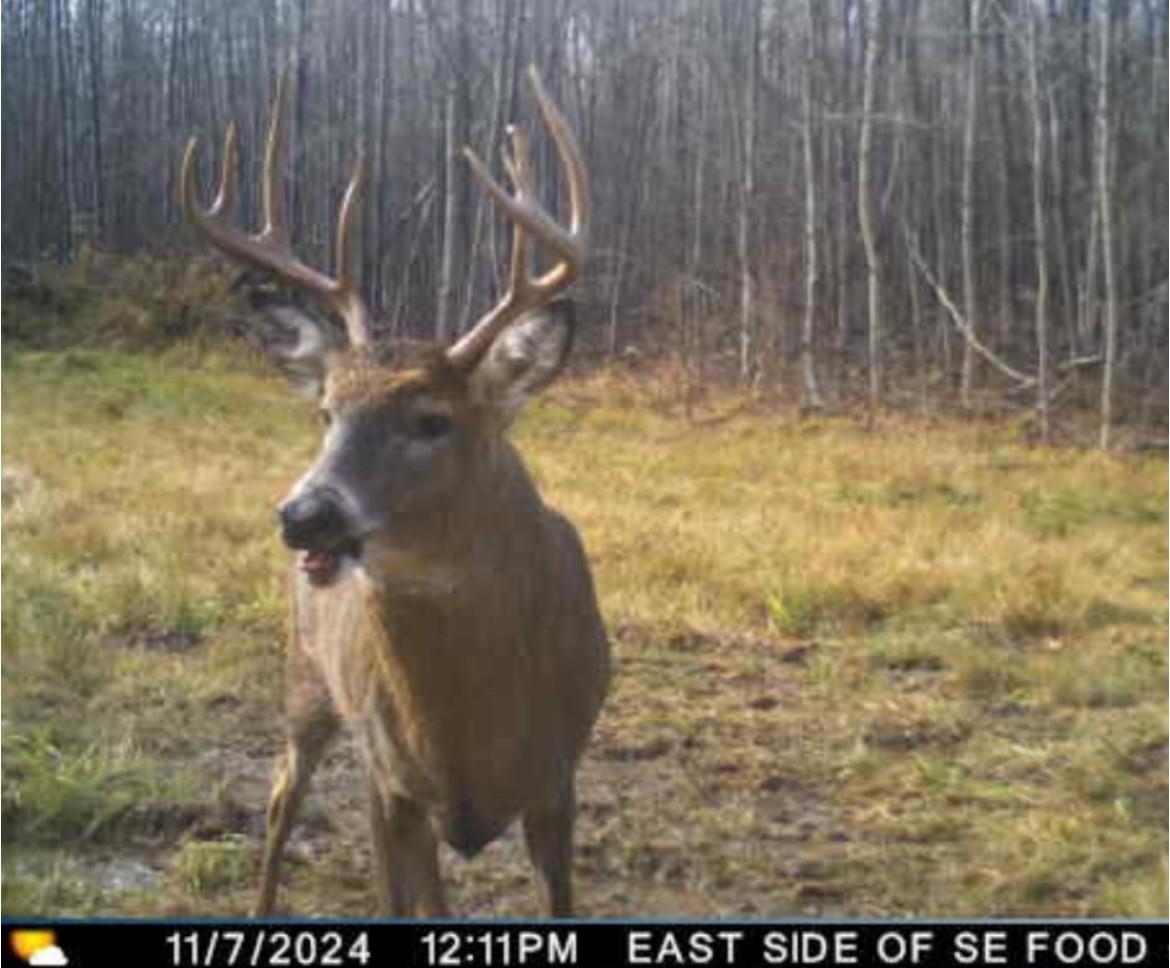 Peterson Road Gleason, WI 54435 - Photo 18 of 68