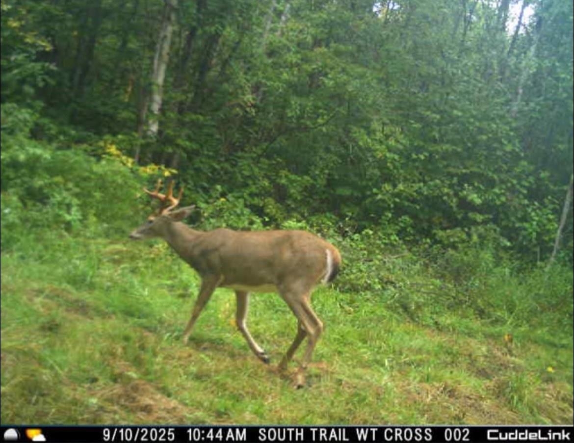 Peterson Road Gleason, WI 54435 - Photo 19 of 68