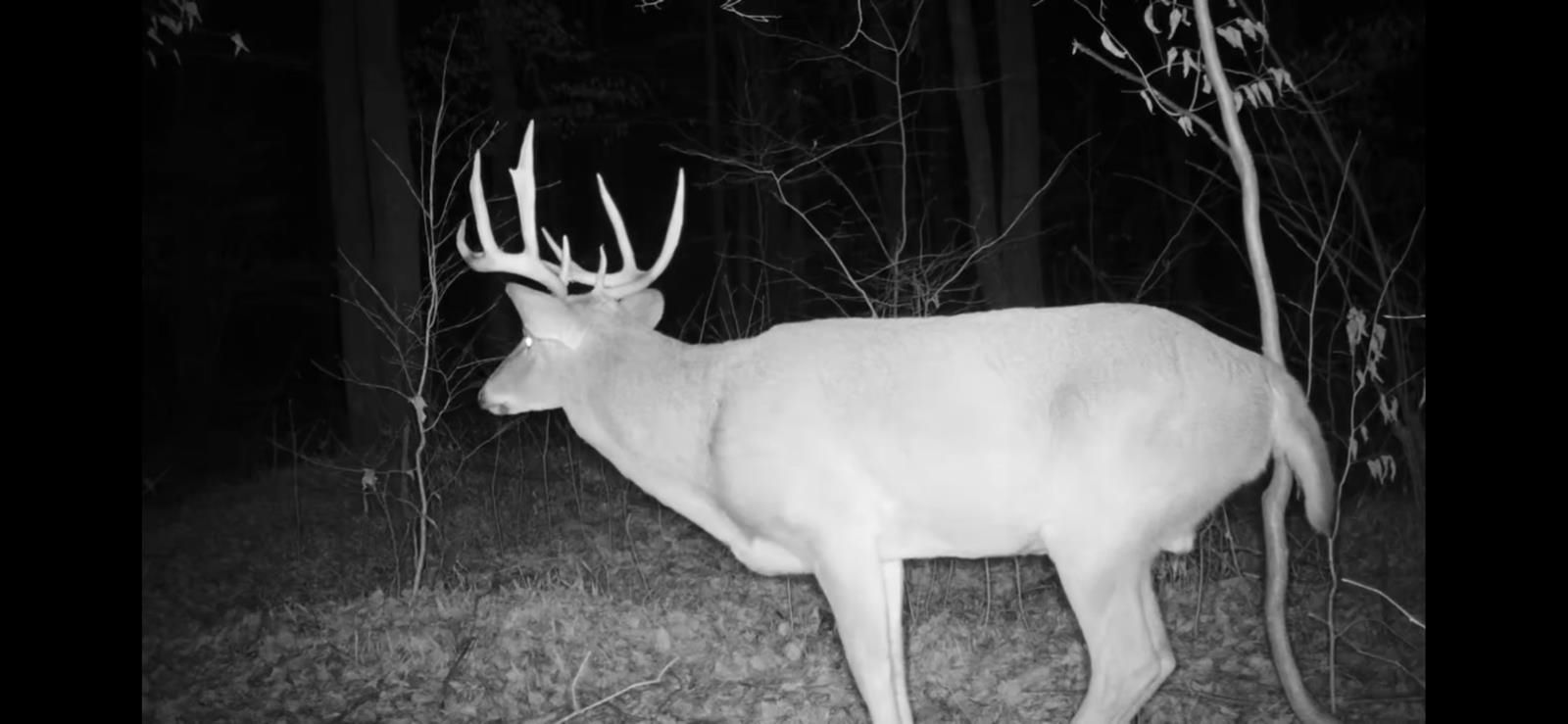 Peterson Road Gleason, WI 54435 - Photo 20 of 68