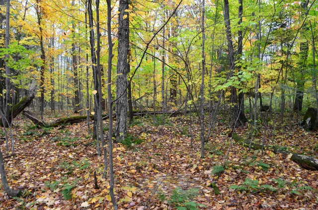 $429,900 | Peterson Road, Gleason, WI 54435