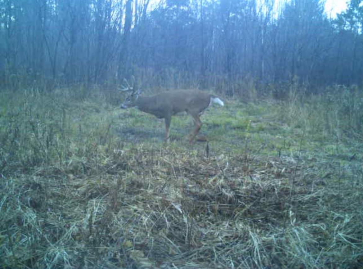 Peterson Road Gleason, WI 54435 - Photo 21 of 68