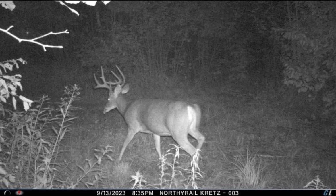 Peterson Road Gleason, WI 54435 - Photo 22 of 68