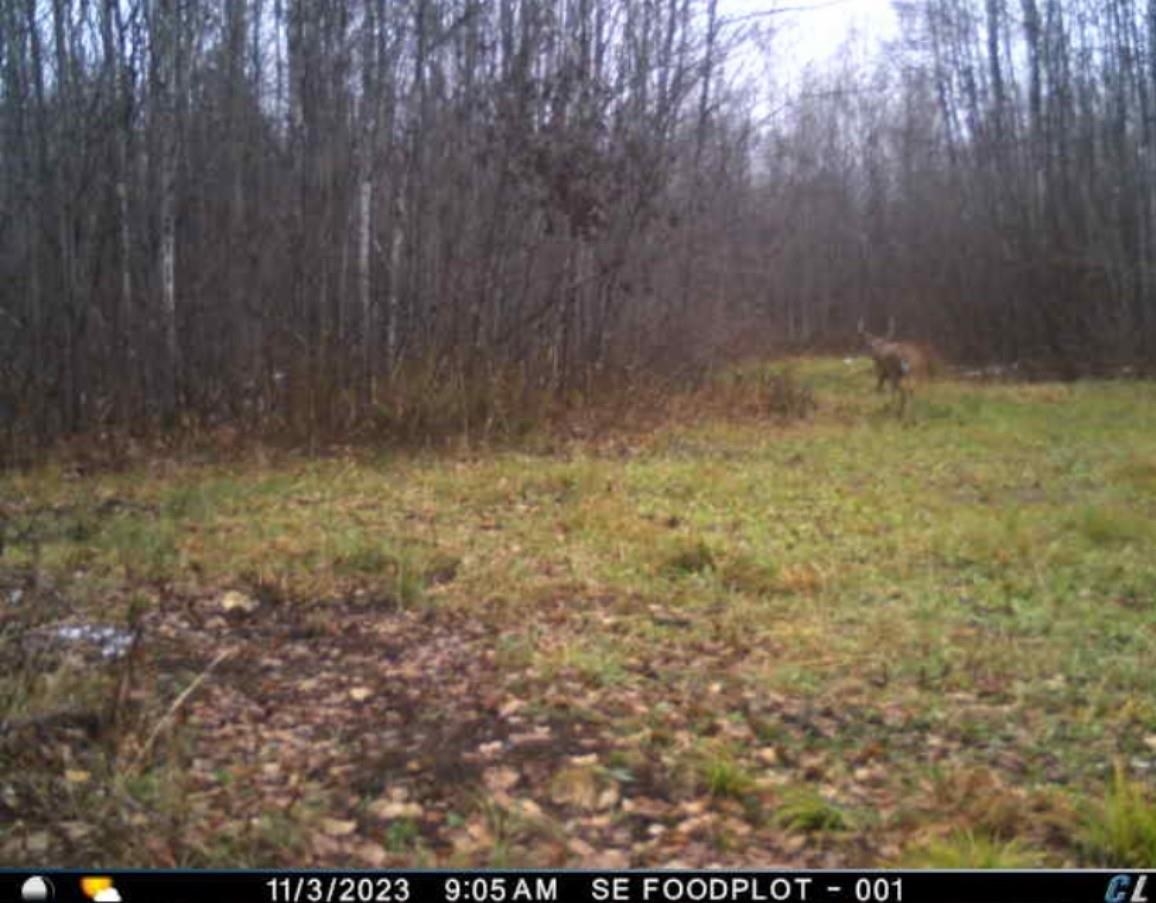 Peterson Road Gleason, WI 54435 - Photo 23 of 68