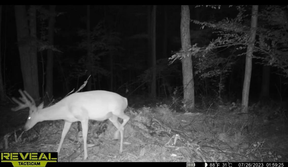 Peterson Road Gleason, WI 54435 - Photo 24 of 68