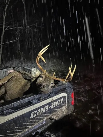 $429,900 | Peterson Road, Gleason, WI 54435