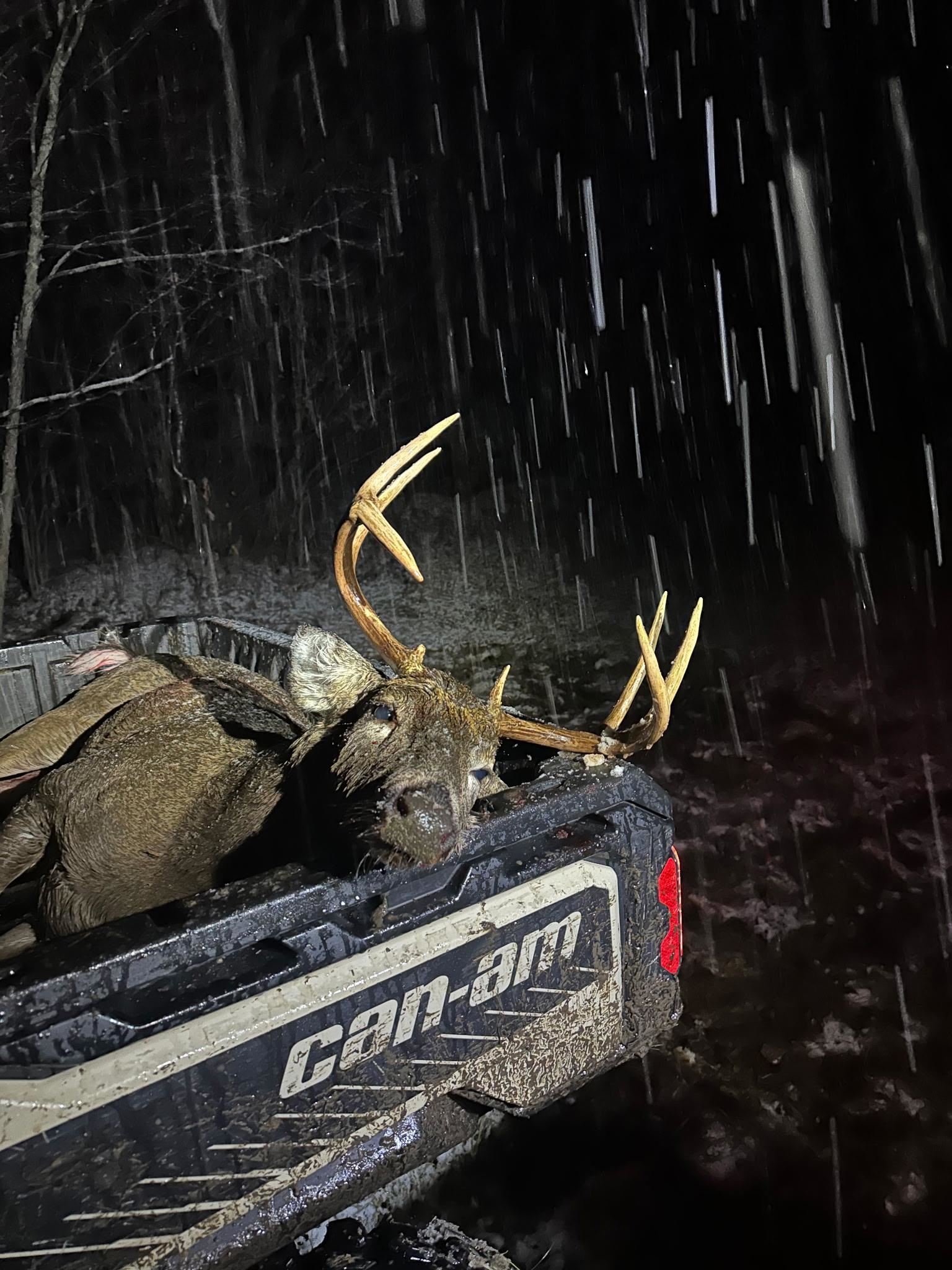 Peterson Road Gleason, WI 54435 - Photo 25 of 68