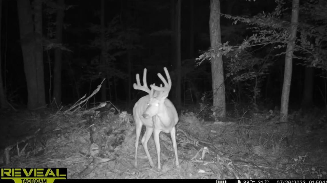 Peterson Road Gleason, WI 54435 - Photo 34 of 68