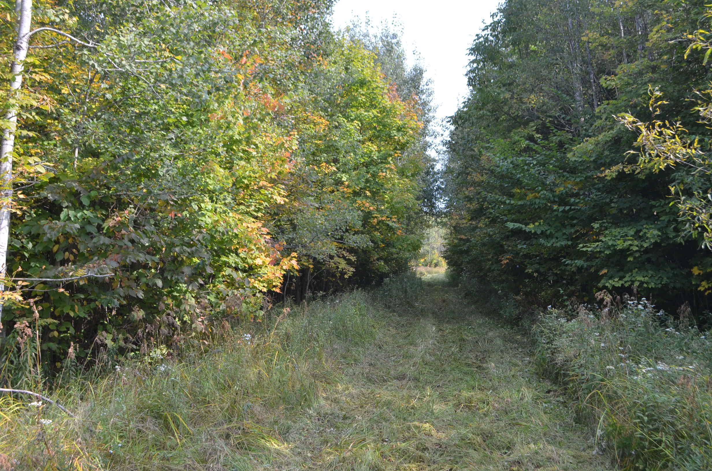 Peterson Road Gleason, WI 54435 - Photo 35 of 68