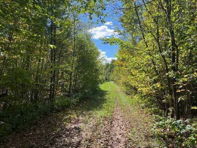 $429,900 | Peterson Road, Gleason, WI 54435