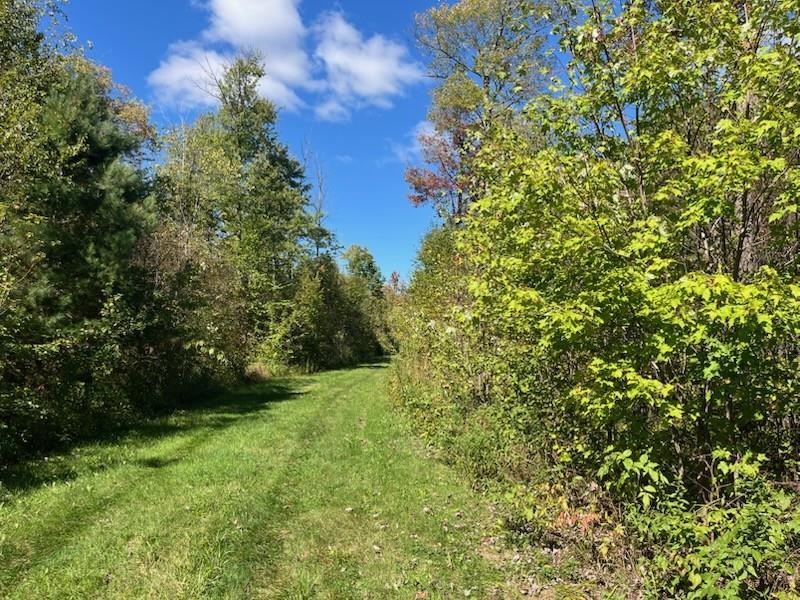 Peterson Road Gleason, WI 54435 - Photo 37 of 68