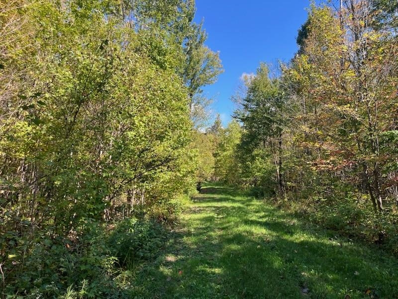 Peterson Road Gleason, WI 54435 - Photo 38 of 68