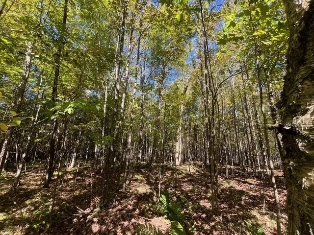 $429,900 | Peterson Road, Gleason, WI 54435