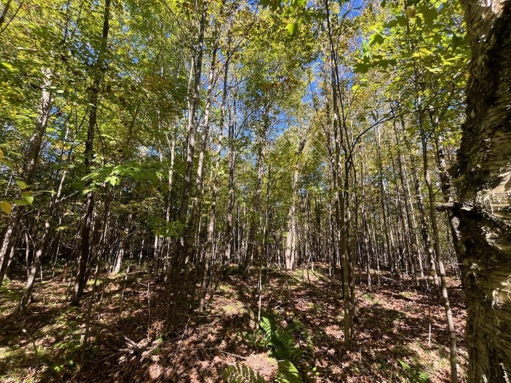 Peterson Road Gleason, WI 54435 - Photo 39 of 68