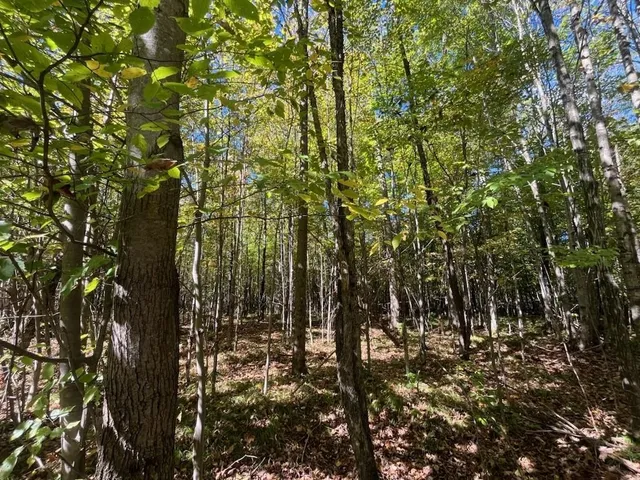 $429,900 | Peterson Road, Gleason, WI 54435