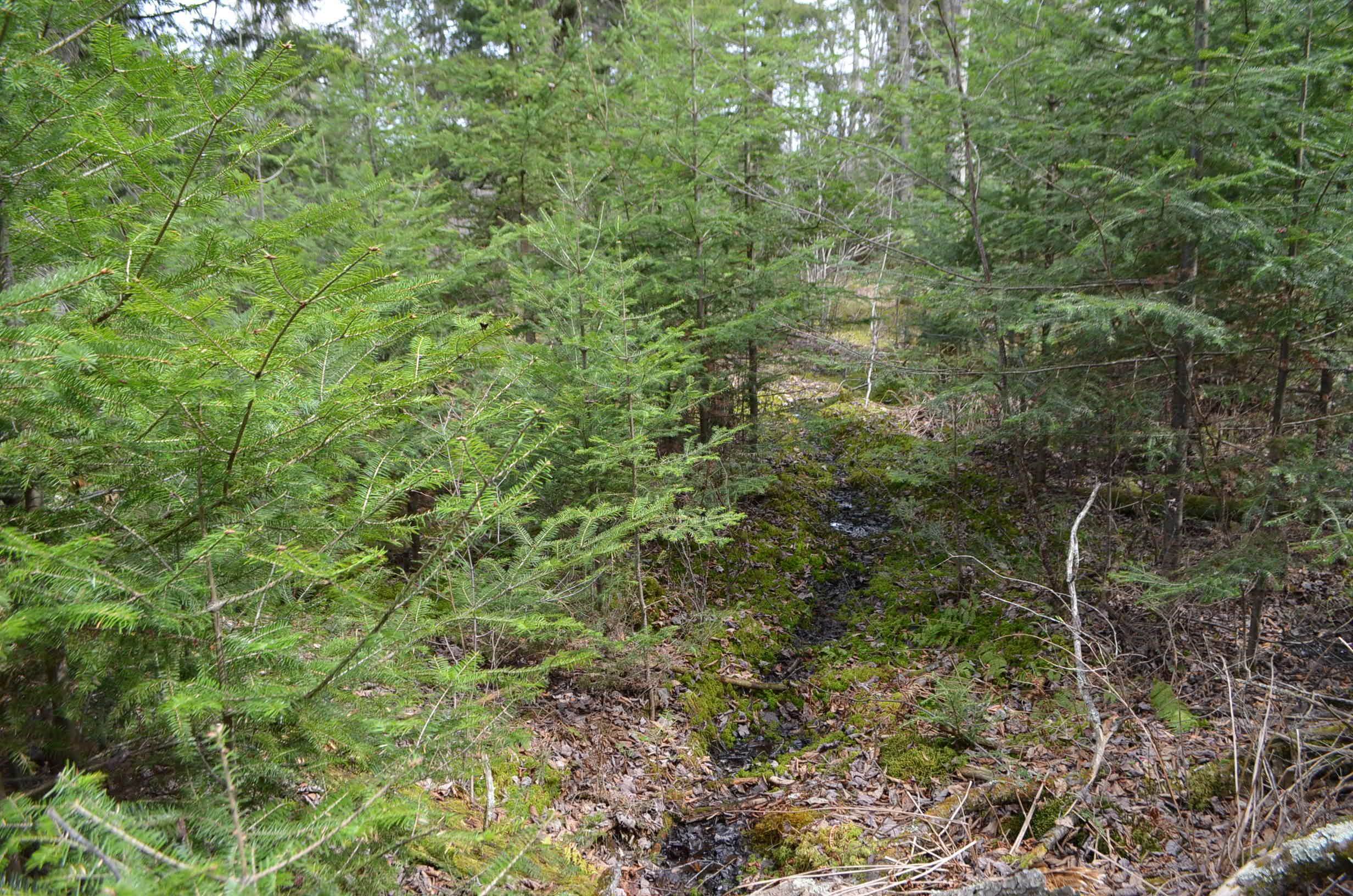 Peterson Road Gleason, WI 54435 - Photo 4 of 68