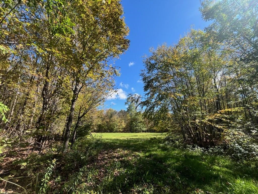Peterson Road Gleason, WI 54435 - Photo 41 of 68