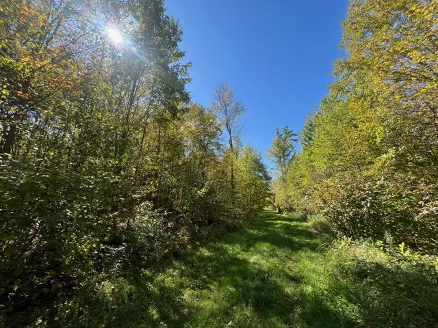 $429,900 | Peterson Road, Gleason, WI 54435