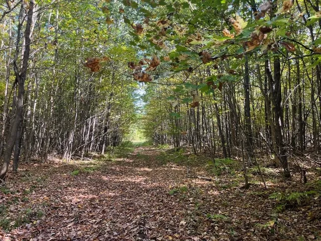 $429,900 | Peterson Road, Gleason, WI 54435