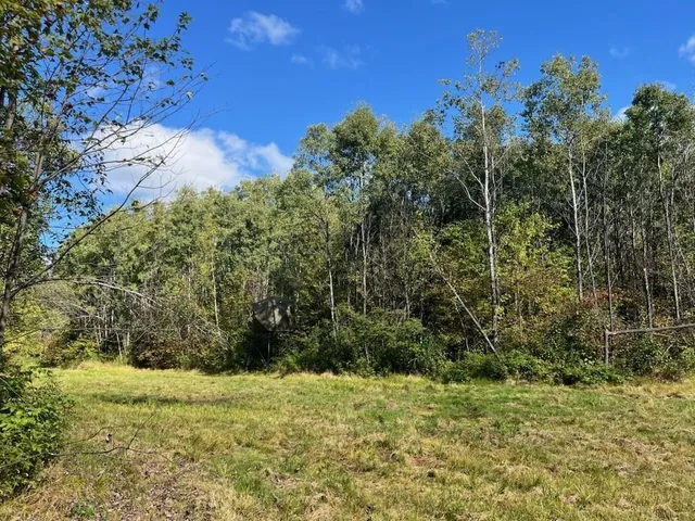 $429,900 | Peterson Road, Gleason, WI 54435