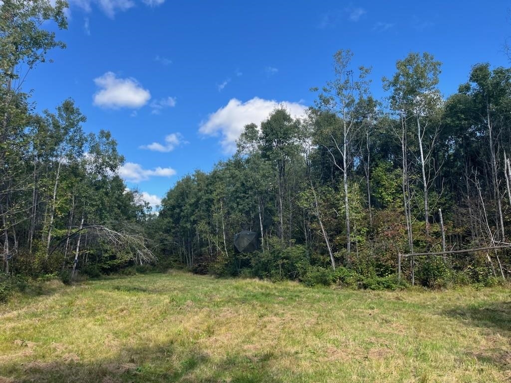 Peterson Road Gleason, WI 54435 - Photo 48 of 68