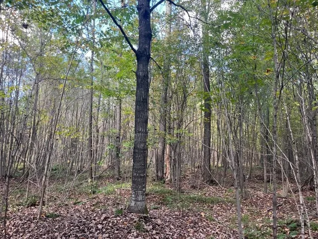 $429,900 | Peterson Road, Gleason, WI 54435