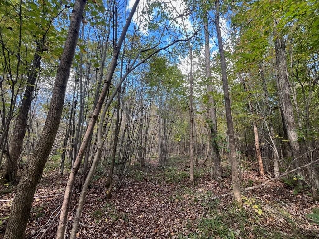 Peterson Road Gleason, WI 54435 - Photo 50 of 68