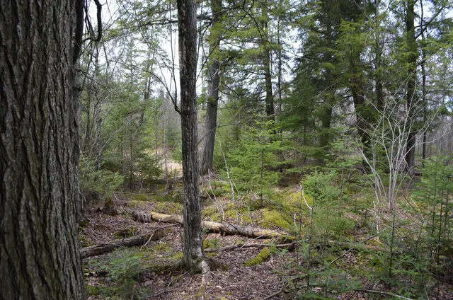 $429,900 | Peterson Road, Gleason, WI 54435