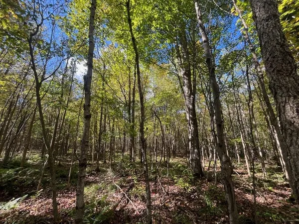 $429,900 | Peterson Road, Gleason, WI 54435