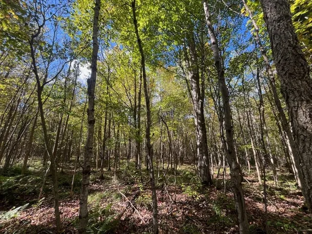 $429,900 | Peterson Road, Gleason, WI 54435